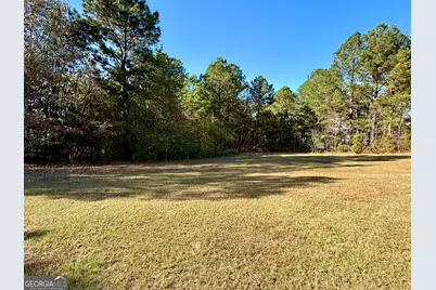 10199 Ga Highway 296, Stapleton, GA 30823 - Photo 29