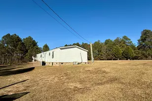 10199 Ga Hwy 296, Stapleton, GA 30823 - Photo 7
