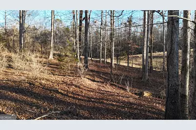 151 Sandy Springs Drive, Athens, GA 30601 - Photo 11