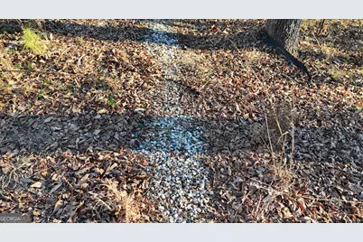 151 Sandy Springs Drive, Athens, GA 30601 - Photo 13