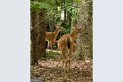 1554 Creek Road, Hiawassee, GA 30546 - Photo 13