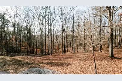 72 Frank Mathews Road, Lexington, GA 30648 - Photo 33