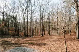 72 Frank Mathews Rd, Lexington, GA 30648 - Photo 33