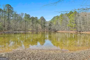 161 Mockingbird Ln, Brooks, GA 30205 - Photo 45