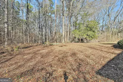 161 Mockingbird Lane, Brooks, GA 30205 - Photo 53