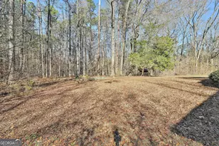 161 Mockingbird Ln, Brooks, GA 30205 - Photo 53