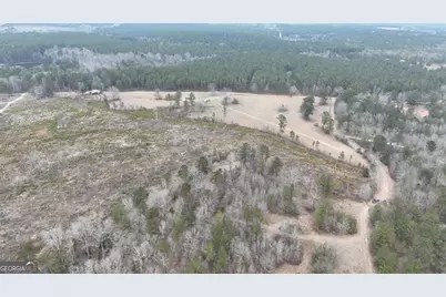 5257 Blume Road, Mitchell, GA 30820 - Photo 5