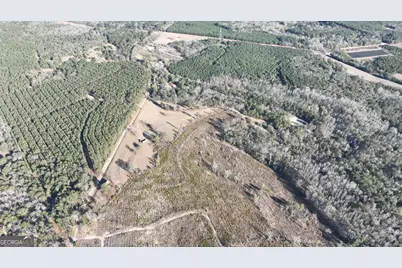 5257 Blume Road Road, Mitchell, GA 30820 - Photo 3