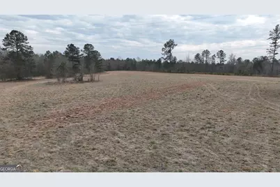 5257 Blume Road, Mitchell, GA 30820 - Photo 9