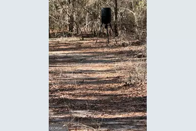 140 Keas Church Circle, Adrian, GA 31002 - Photo 25