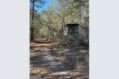 140 Keas Church Circle, Adrian, GA 31002 - Photo 23