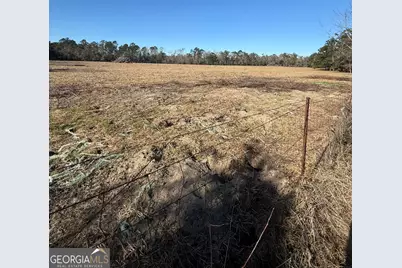 140 Keas Church Circle, Adrian, GA 31002 - Photo 5