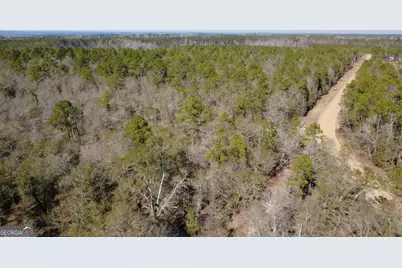 140 Keas Church Circle, Adrian, GA 31002 - Photo 47