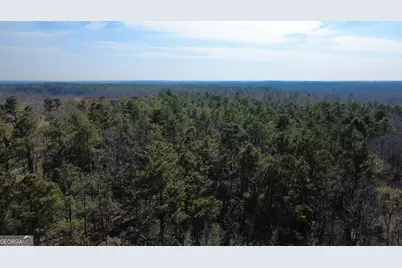 140 Keas Church Circle, Adrian, GA 31002 - Photo 37