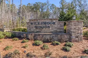 702 Lanarck Wy, Peachtree City, GA 30269 - Photo 31