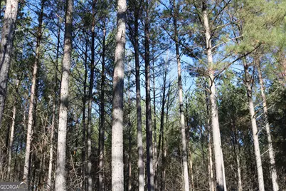 0 Iron Hill, Taylorsville, GA 30178 - Photo 1