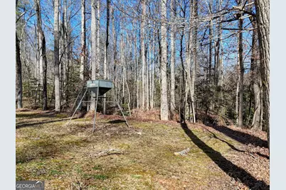 1852 St Highway 325, Blairsville, GA 30512 - Photo 41