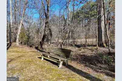 1852 St Highway 325, Blairsville, GA 30512 - Photo 37