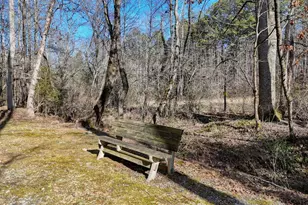 1852 St Hwy 325, Blairsville, GA 30512 - Photo 37