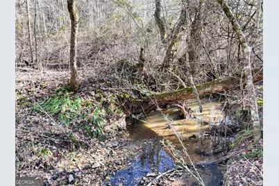 1852 St Highway 325, Blairsville, GA 30512 - Photo 39