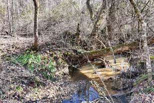 1852 St Hwy 325, Blairsville, GA 30512 - Photo 39