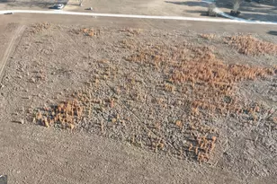 0 Mill Creek Rd, Bartow, GA 30413 - Photo 1