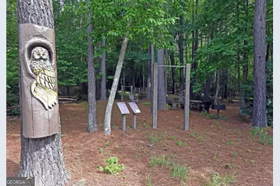 Lot 41 Deyton Drive, Blairsville, GA 30512 - Photo 13