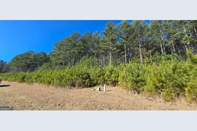 Lot 41 Deyton Drive, Blairsville, GA 30512 - Photo 1