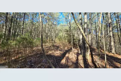 Lot 41 Deyton Drive, Blairsville, GA 30512 - Photo 7