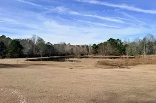 1431 Community Rd, Glennville, GA 30427 - Photo 5