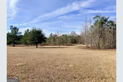 1431 Community Road, Glennville, GA 30427 - Photo 41