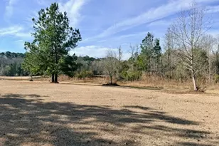 1431 Community Rd, Glennville, GA 30427 - Photo 39