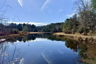 1431 Community Rd, Glennville, GA 30427 - Photo 37