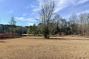 1431 Community Rd, Glennville, GA 30427 - Photo 33