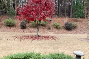 211 Spruce Pine Cir, Peachtree City, GA 30269 - Photo 37