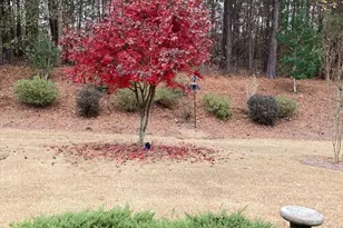 211 Spruce Pine Cir, Peachtree City, GA 30269 - Photo 29