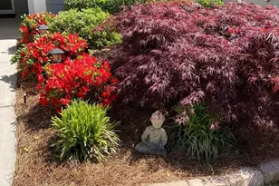 211 Spruce Pine Cir, Peachtree City, GA 30269 - Photo 5