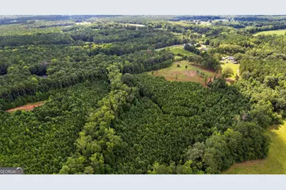 351 East Milner Road, Zebulon, GA 30295 - Photo 63