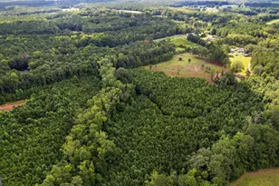 351 E Milner Rd, Zebulon, GA 30295 - Photo 63