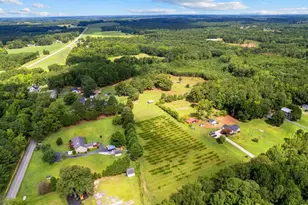 351 E Milner Rd, Zebulon, GA 30295 - Photo 39