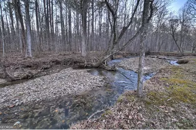 222 Grouse Lane, Talking Rock, GA 30175 - Photo 59