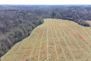 0 Steele Rd, Griffin, GA 30223 - Photo 1