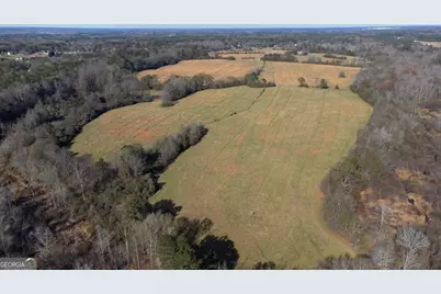 0 Steele Road, Griffin, GA 30223 - Photo 3