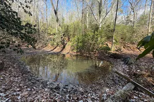 636 Bear Paw Trail, Blue Ridge, GA 30513 - Photo 63