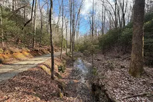 636 Bear Paw Trail, Blue Ridge, GA 30513 - Photo 65