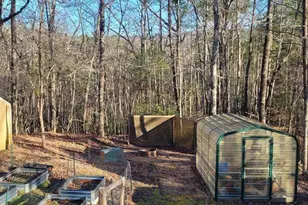 636 Bear Paw Trail, Blue Ridge, GA 30513 - Photo 59