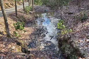 636 Bear Paw Trail, Blue Ridge, GA 30513 - Photo 71