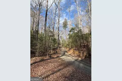 636 Bear Paw Trail, Blue Ridge, GA 30513 - Photo 67