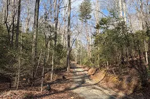 636 Bear Paw Trail, Blue Ridge, GA 30513 - Photo 67