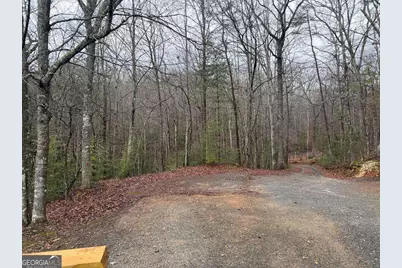 636 Bear Paw Trail, Blue Ridge, GA 30513 - Photo 45